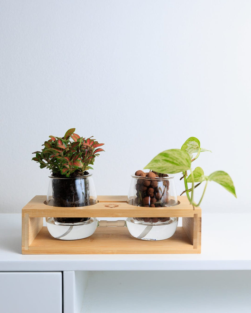 PROPAGATION STATION LAB 2