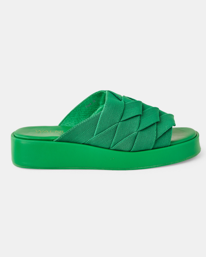 SLIDE FRANK