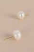 EARRING FRESHWATER PEARL 10MM STUD