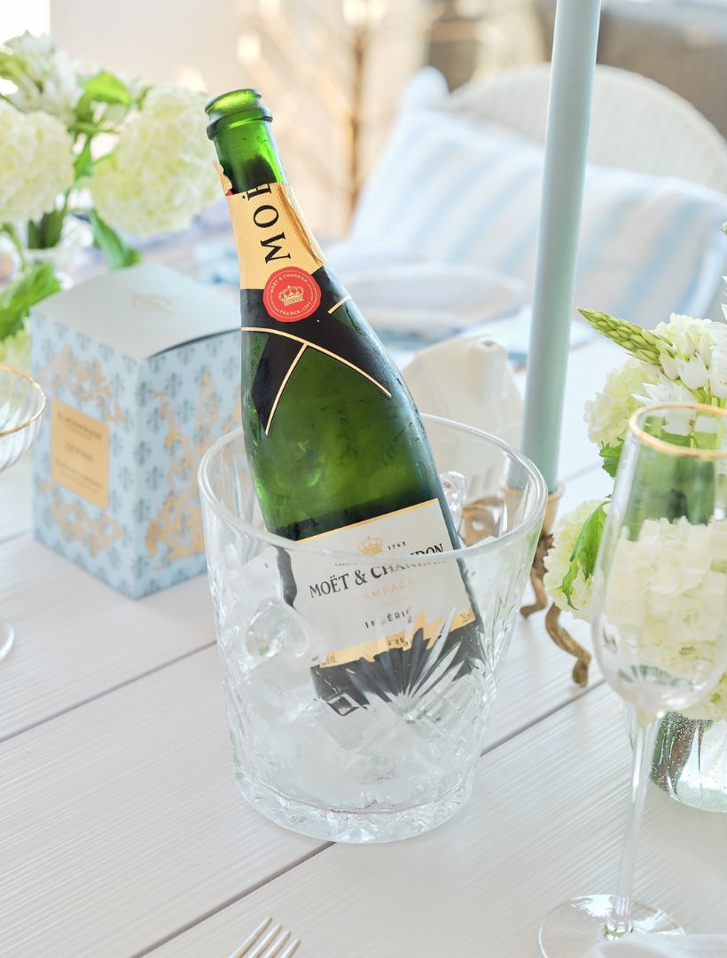 ICE BUCKET ADRIENNE