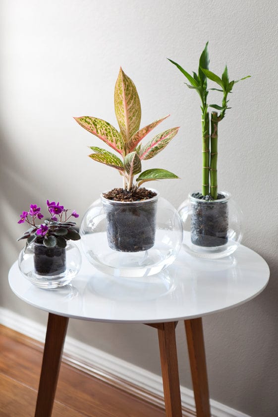 POT SMALL SELF-WATERING