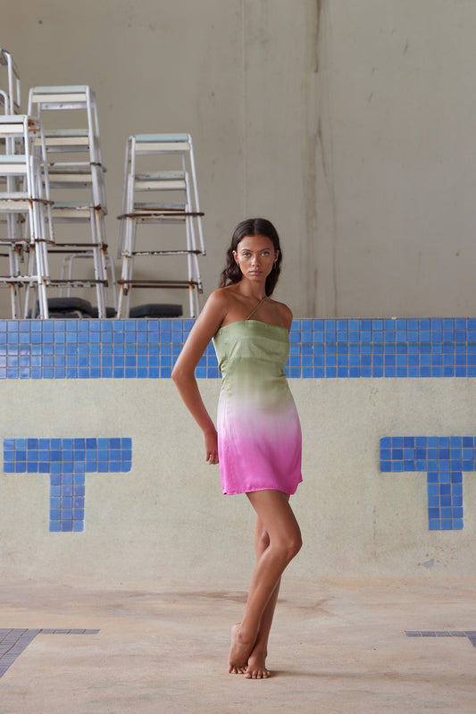 DRESS PETA