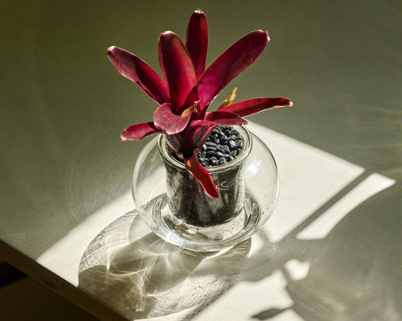 POT SMALL SELF-WATERING