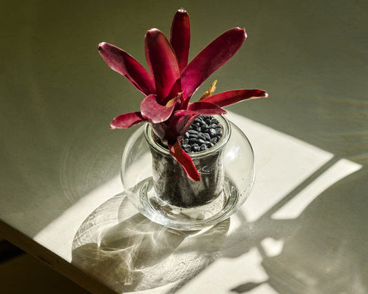 POT SMALL SELF-WATERING