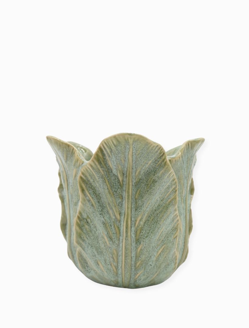 POT CABBAGE LEAF - LARGE