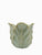 POT CABBAGE LEAF - LARGE