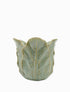 POT CABBAGE LEAF - LARGE