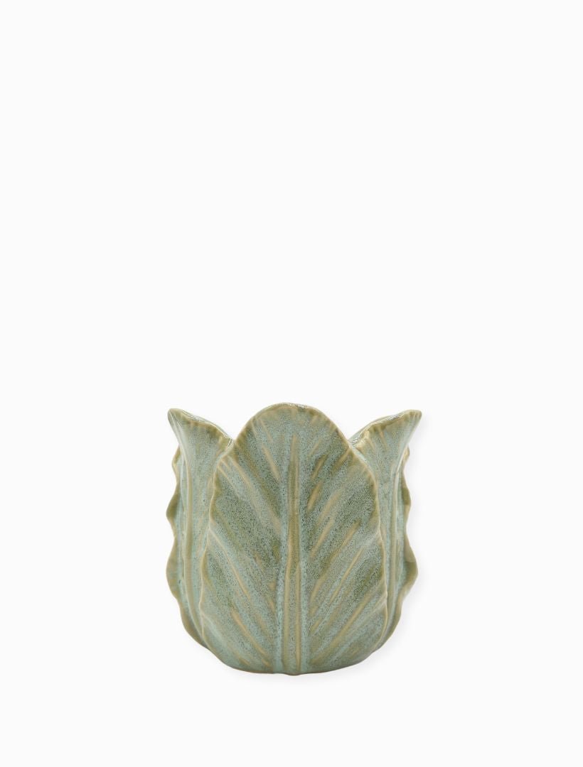 POT CABBAGE LEAF - SMALL