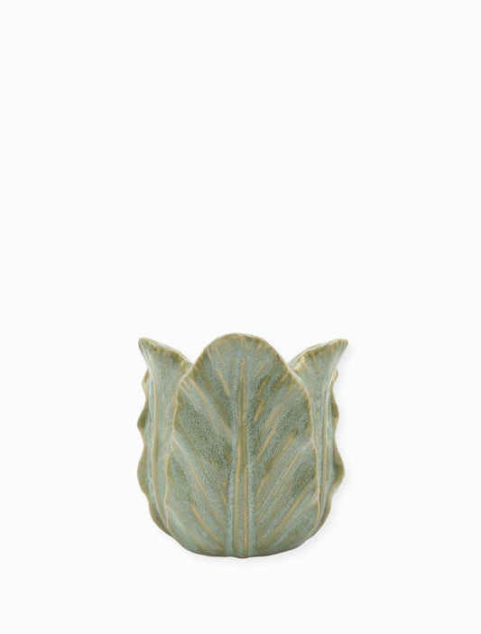 POT CABBAGE LEAF - SMALL