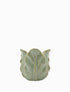 POT CABBAGE LEAF - SMALL