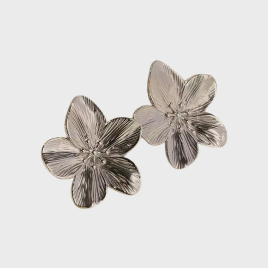 EARRINGS MAGGIE SILVER