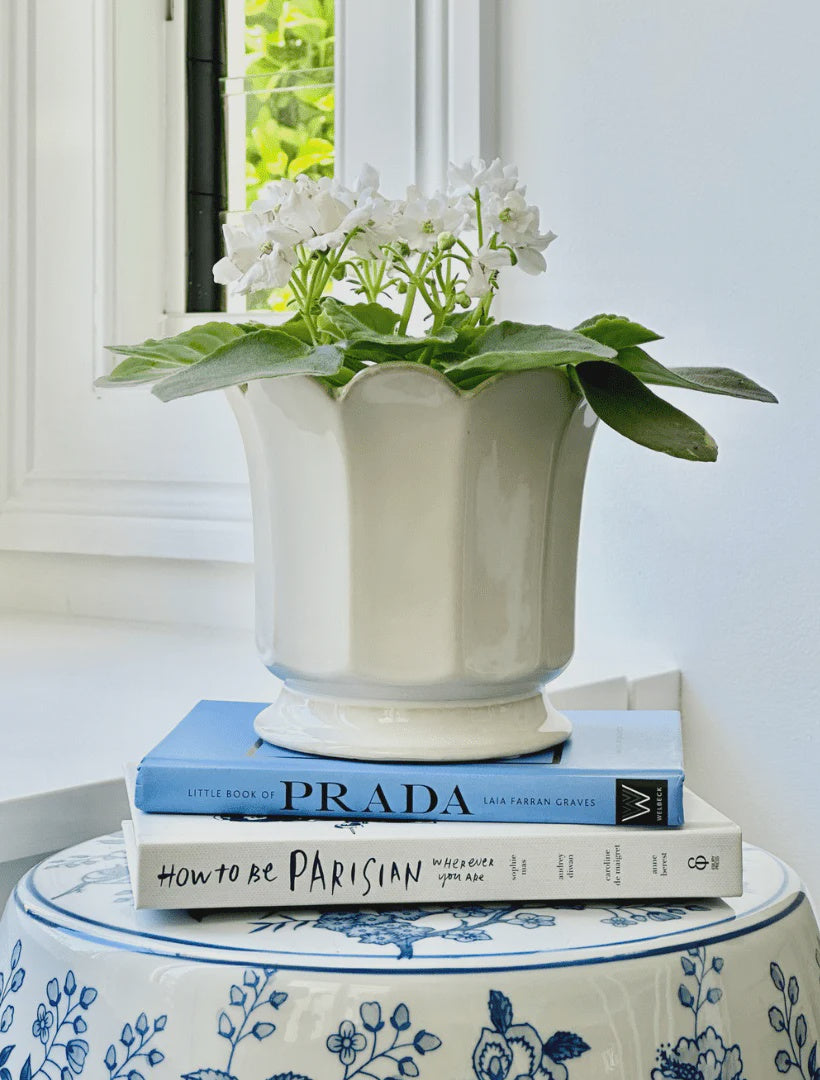 POT SCALLOPED - LARGE