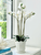 POT SCALLOPED - LARGE