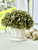POT SCALLOPED - SMALL