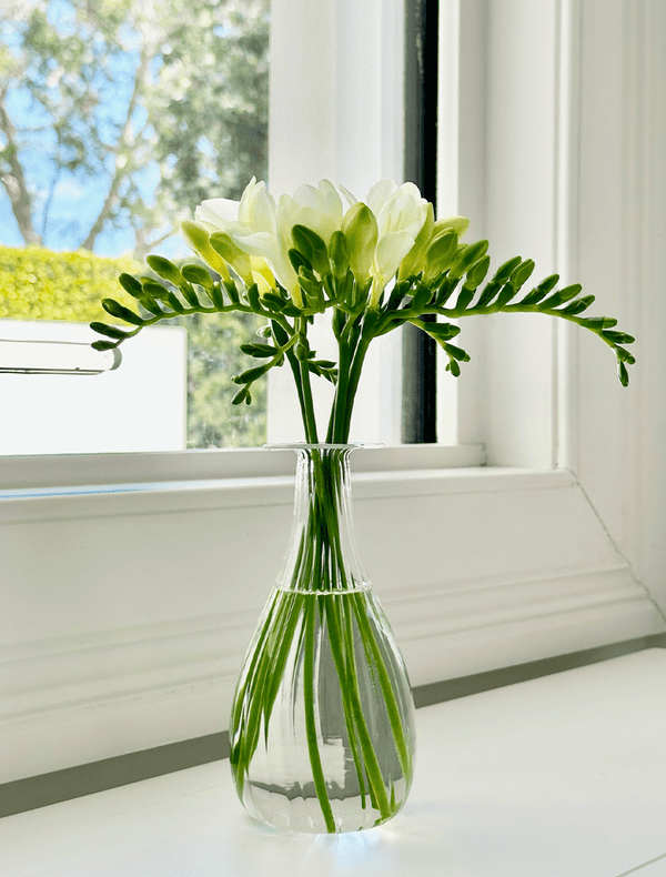 VASES  - SOIREE TRIO