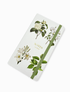 JOURNAL - VINTAGE BOTANICAL