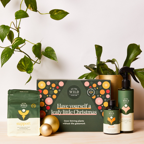 LEAFY CHRISTMAS ESSENTIALS KIT