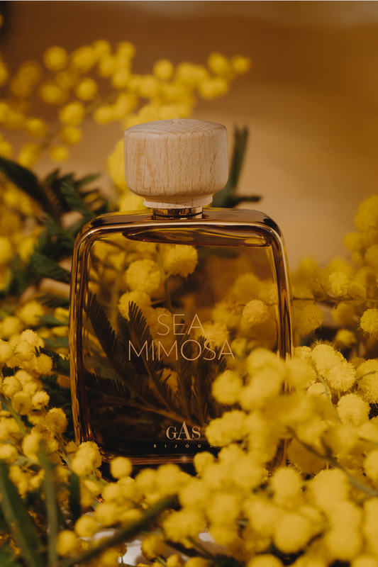 PERFUME SEA MIMOSA